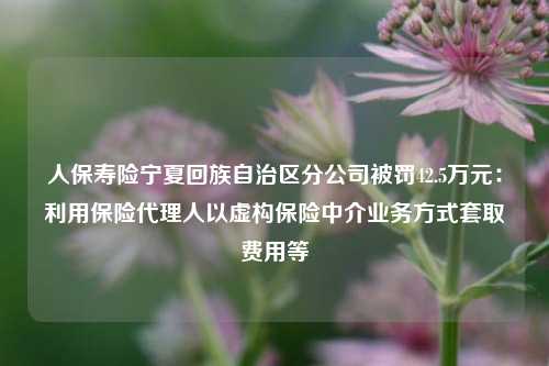 人保寿险宁夏回族自治区分公司被罚42.5万元：利用保险代理人以虚构保险中介业务方式套取费用等