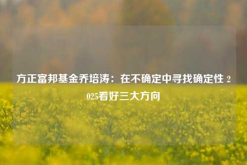 方正富邦基金乔培涛：在不确定中寻找确定性 2025看好三大方向