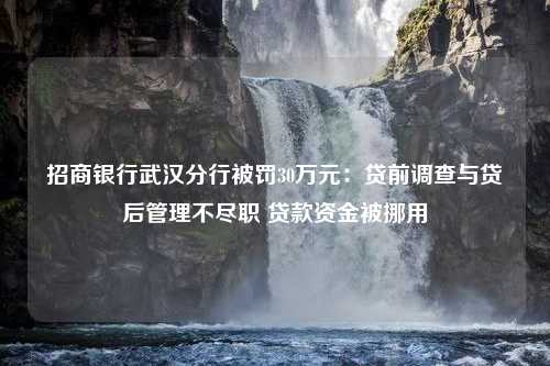 招商银行武汉分行被罚30万元：贷前调查与贷后管理不尽职 贷款资金被挪用