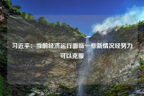 习近平：当前经济运行面临一些新情况经努力可以克服