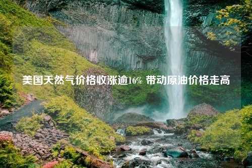 美国天然气价格收涨逾16% 带动原油价格走高