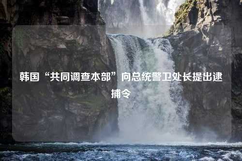 韩国“共同调查本部”向总统警卫处长提出逮捕令