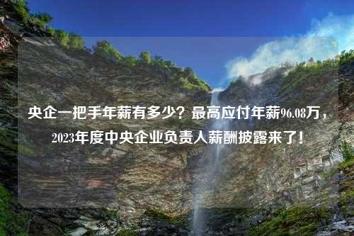 央企一把手年薪有多少？最高应付年薪96.08万，2023年度中央企业负责人薪酬披露来了！