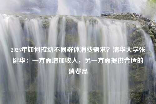 2025年如何拉动不同群体消费需求？清华大学张健华：一方面增加收入，另一方面提供合适的消费品