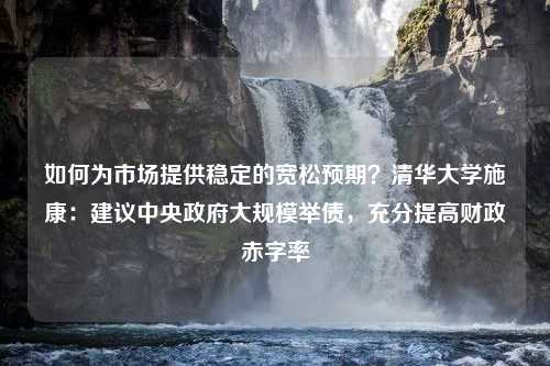 如何为市场提供稳定的宽松预期？清华大学施康：建议中央政府大规模举债，充分提高财政赤字率