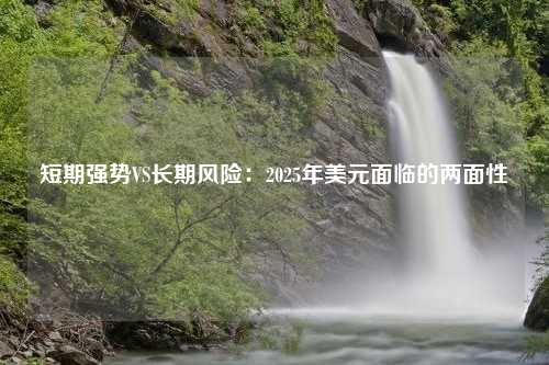 短期强势VS长期风险：2025年美元面临的两面性