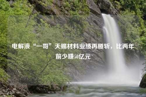 电解液“一哥”天赐材料业绩再腰斩，比两年前少赚50亿元