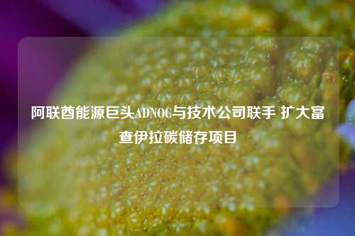 阿联酋能源巨头ADNOC与技术公司联手 扩大富查伊拉碳储存项目