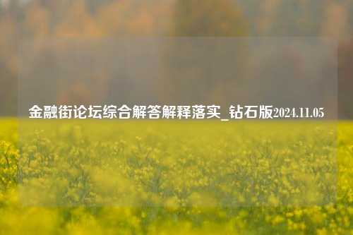 金融街论坛综合解答解释落实_钻石版2024.11.05