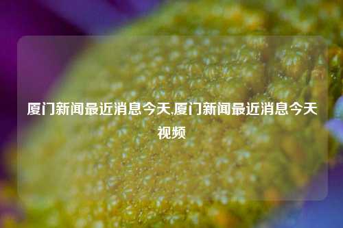 厦门新闻最近消息今天,厦门新闻最近消息今天视频