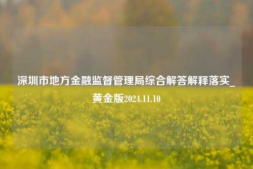 深圳市地方金融监督管理局综合解答解释落实_黄金版2024.11.10