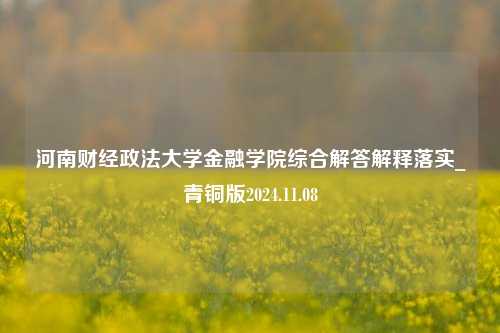 河南财经政法大学金融学院综合解答解释落实_青铜版2024.11.08