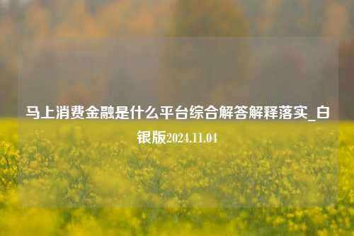 马上消费金融是什么平台综合解答解释落实_白银版2024.11.04