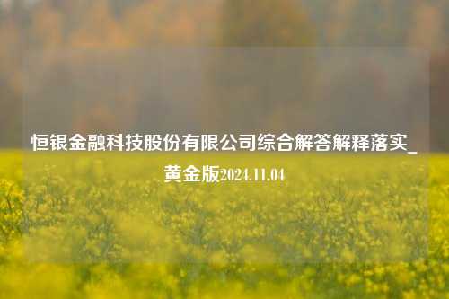 恒银金融科技股份有限公司综合解答解释落实_黄金版2024.11.04