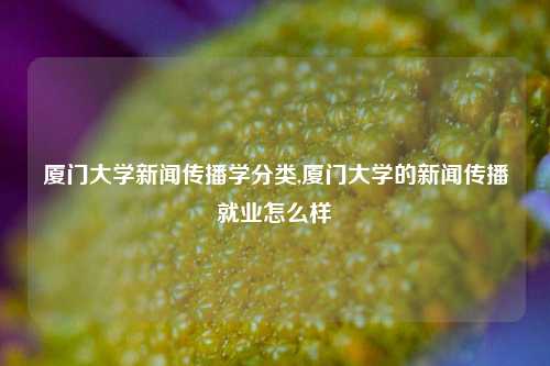 厦门大学新闻传播学分类,厦门大学的新闻传播就业怎么样