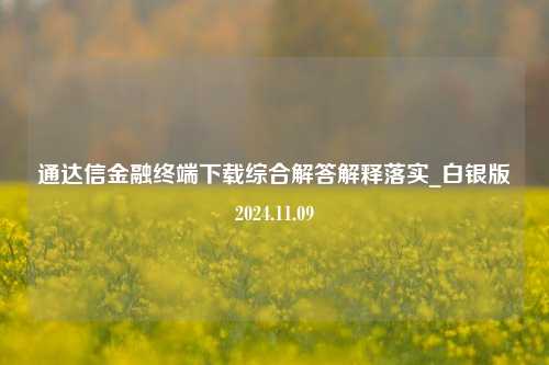 通达信金融终端下载综合解答解释落实_白银版2024.11.09