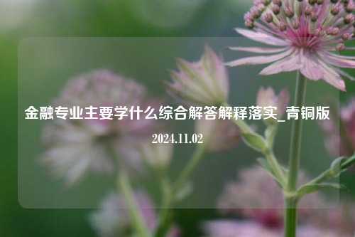 金融专业主要学什么综合解答解释落实_青铜版2024.11.02