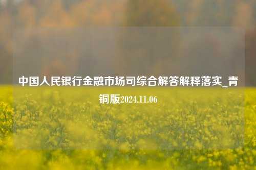 中国人民银行金融市场司综合解答解释落实_青铜版2024.11.06