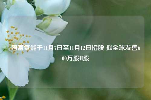 国富氢能于11月7日至11月12日招股 拟全球发售600万股H股