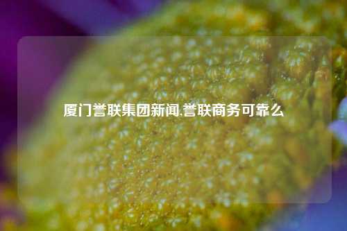 厦门誉联集团新闻,誉联商务可靠么