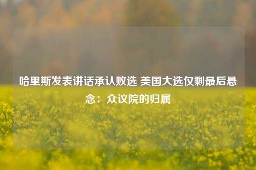 哈里斯发表讲话承认败选 美国大选仅剩最后悬念：众议院的归属