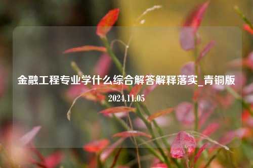 金融工程专业学什么综合解答解释落实_青铜版2024.11.05