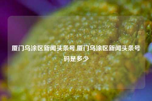 厦门乌涂区新闻头条号,厦门乌涂区新闻头条号码是多少