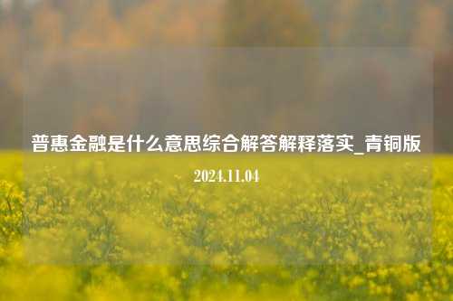 普惠金融是什么意思综合解答解释落实_青铜版2024.11.04