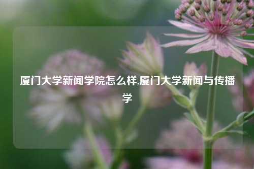 厦门大学新闻学院怎么样,厦门大学新闻与传播学