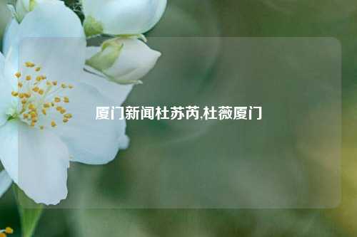 厦门新闻杜苏芮,杜薇厦门