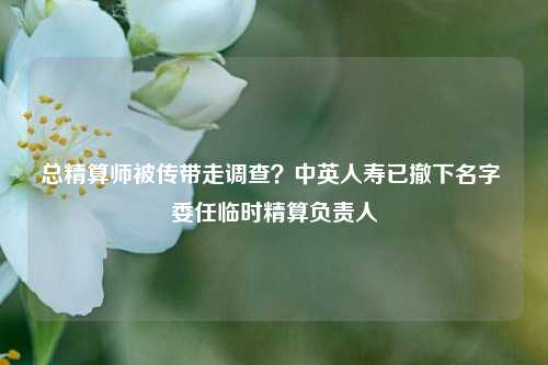 总精算师被传带走调查？中英人寿已撤下名字 委任临时精算负责人