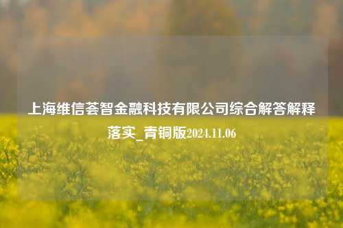 上海维信荟智金融科技有限公司综合解答解释落实_青铜版2024.11.06