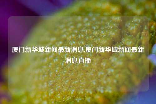 厦门新华城新闻最新消息,厦门新华城新闻最新消息直播