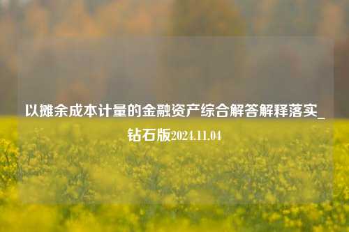 以摊余成本计量的金融资产综合解答解释落实_钻石版2024.11.04