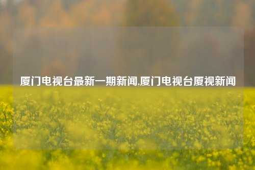 厦门电视台最新一期新闻,厦门电视台厦视新闻