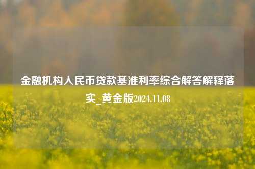 金融机构人民币贷款基准利率综合解答解释落实_黄金版2024.11.08