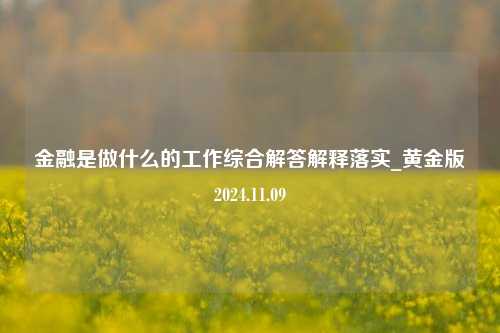 金融是做什么的工作综合解答解释落实_黄金版2024.11.09