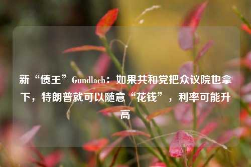 新“债王”Gundlach：如果共和党把众议院也拿下，特朗普就可以随意“花钱”，利率可能升高