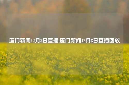 厦门新闻12月3日直播,厦门新闻12月3日直播回放