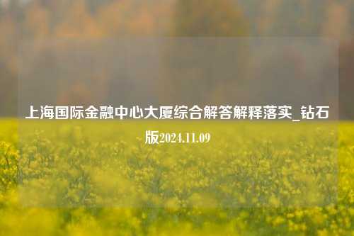 上海国际金融中心大厦综合解答解释落实_钻石版2024.11.09