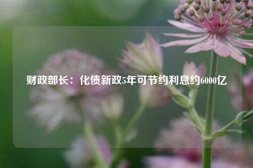 财政部长：化债新政5年可节约利息约6000亿