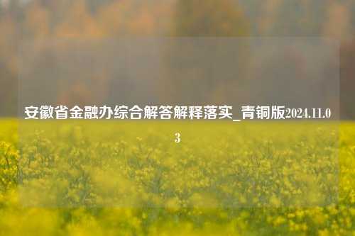 安徽省金融办综合解答解释落实_青铜版2024.11.03