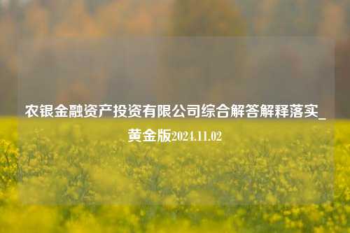 农银金融资产投资有限公司综合解答解释落实_黄金版2024.11.02