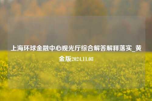 上海环球金融中心观光厅综合解答解释落实_黄金版2024.11.08