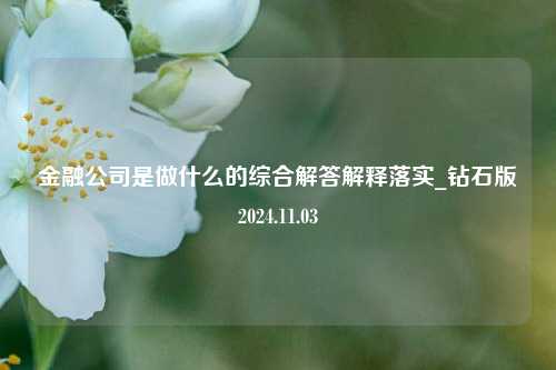 金融公司是做什么的综合解答解释落实_钻石版2024.11.03