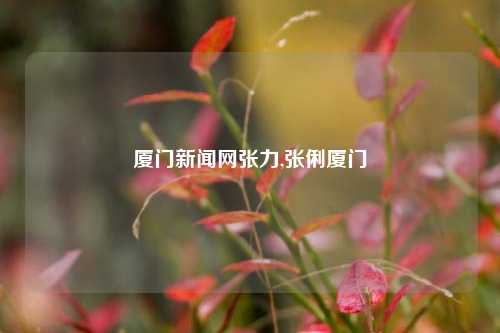 厦门新闻网张力,张俐厦门