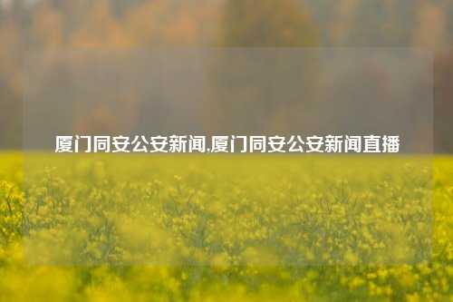 厦门同安公安新闻,厦门同安公安新闻直播