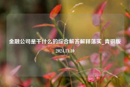 金融公司是干什么的综合解答解释落实_青铜版2024.11.10