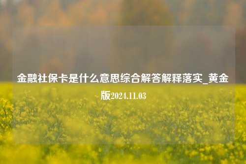 金融社保卡是什么意思综合解答解释落实_黄金版2024.11.03