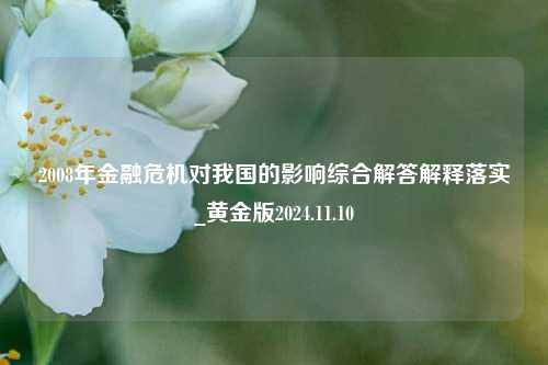 2008年金融危机对我国的影响综合解答解释落实_黄金版2024.11.10